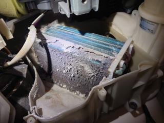 東芝ドラム式洗濯機TW-117V5ヒートポンプ汚れ