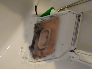 日立ドラム式洗濯機BD-SX110F風路切替板汚れ