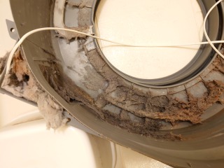 東芝ドラム式洗濯機TW-G500脱水受けカバー汚れ