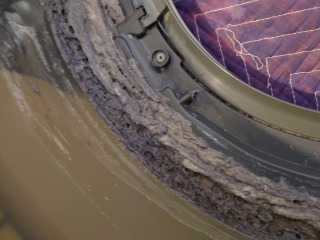 パナソニックドラム式洗濯機NA-VX9500脱水受けカバー汚れ