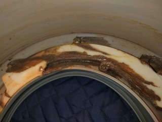 日立ドラム式洗濯機BD-SV110A脱水受けカバー汚れ