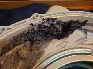 パナソニックドラム式洗濯機NA-VH320脱水受けカバー汚れ