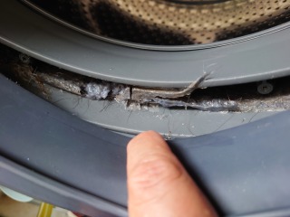 東芝ドラム式洗濯機TW-127X8洗濯槽下部汚れ