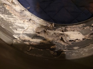 パナソニックドラム式洗濯機NA-VX3500脱水受けカバー汚れ