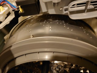 パナソニックドラム式洗濯機NA-VG1100洗濯槽汚れ