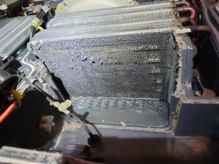 パナソニックドラム式洗濯機NA-VX7300ヒートポンプユニット内部汚れ