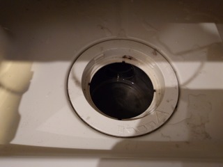 シャープドラム式洗濯機ES-W113排水口清掃