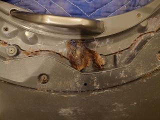 パナソニックドラム式洗濯機NA-VG1400全方位シャワーノズル詰まり