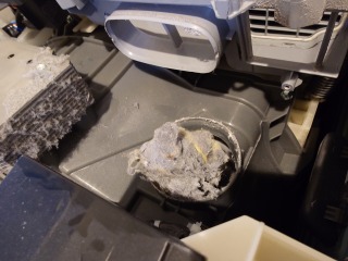 パナソニックドラム式洗濯機NA-VG2600排気