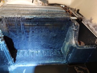 パナソニックドラム式洗濯機NA-VX800Aヒートポンプ汚れ