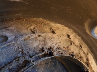 東芝ドラム式洗濯機TW-117X6脱水受けカバー綿ぼこり