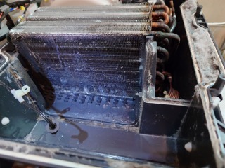 パナソニックドラム式洗濯機NA-VX8900ヒートポンプ汚れ