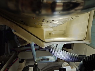 パナソニックドラム式洗濯機NA-LX113B洗濯槽洗浄