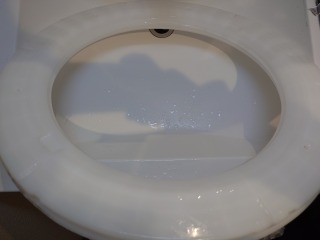 パナソニックドラム式洗濯機NA-VX300B流体バランサー