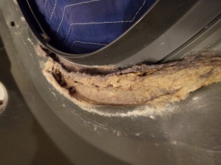 パナソニックドラム式洗濯機NA-LX127B脱水受けカバー汚れ