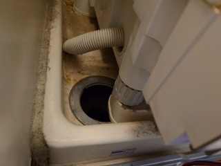 東芝ドラム式洗濯機TW-117A8排水関連清掃