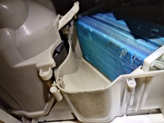 東芝ドラム式洗濯機TW-117A8ヒートポンプ洗浄