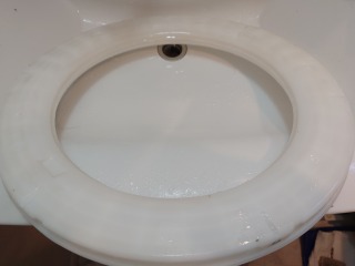 パナソニックドラム式洗濯機NA-VX9900流体バランサー清掃