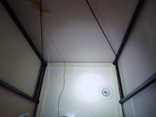 東芝ドラム式洗濯機TW-Z9200洗濯パン清掃