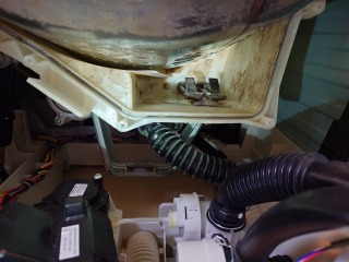 パナソニックドラム式洗濯機NA-SLX12B洗濯槽汚れ