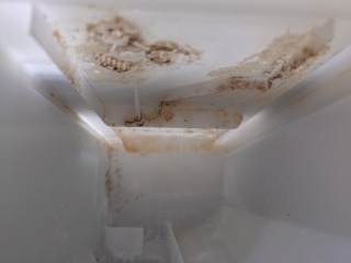 パナソニックドラム式洗濯機NA-VD130洗剤外側ケース汚れ