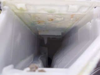 パナソニックドラム式洗濯機NA-VX8600洗剤ケース洗浄