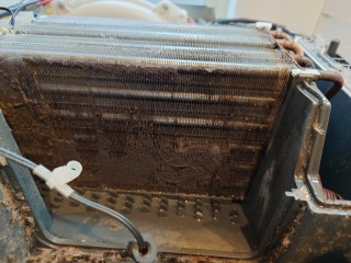 パナソニックドラム式洗濯機NA-VX8900ヒートポンプ汚れ