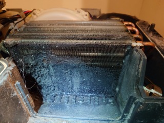 パナソニックドラム式洗濯機NA-VX9900ヒートポンプ汚れ