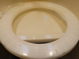 パナソニックドラム式洗濯機NA-VX700A流体バランサー洗浄