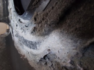 パナソニックドラム式洗濯機NA-VX700A脱水受けカバー綿ぼこり付着